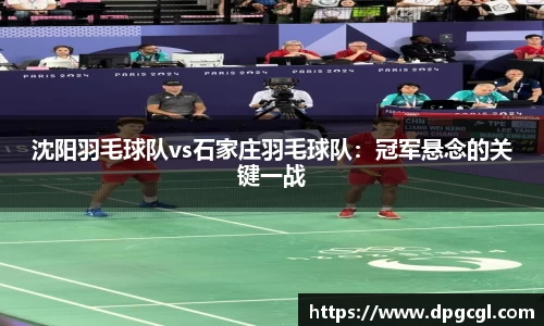 沈阳羽毛球队vs石家庄羽毛球队：冠军悬念的关键一战
